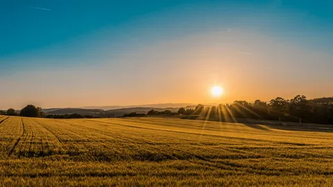 Cultivated fields in the soft light of sunrise